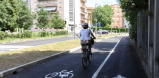 Verde urbano Vicenza, lavori al via in diversi punti della città Verde Urbano Vicenza