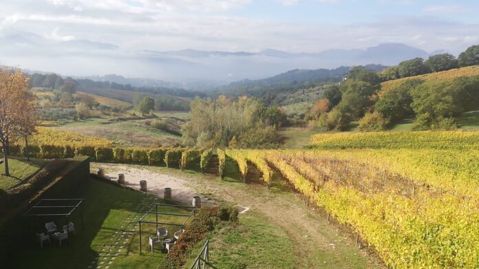 Vigneti Greco di Tufo DOCG, ph. Simona Servillo