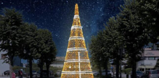 Luminarie natalizie, Brendola dice sì… ma con 20 euro al giorno brendola luminarie natalizie albero