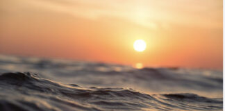 La rivolta ai deboli, la rivoluzione ai coraggiosi: la riflessione di Meritocrazia Italia Orizzonti da un mare tempestoso