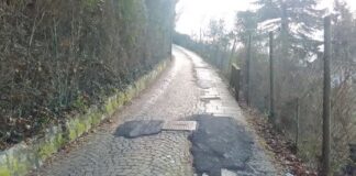 Viale Cialdini a Vicenza, prosegue il progetto di riqualificazione del percorso naturalistico viale cialdini