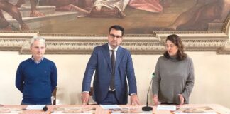 Vicenza, Giornata nazionale della colletta alimentare: coinvolti 144 supermercati e 2736 volontari giornata nazionale