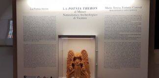 Ingresso gratuito a Palazzo Thiene e al Museo Naturalistico Archeologico di Vicenza palazzo thiene