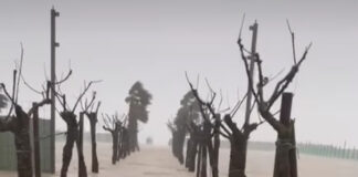 Maltempo Veneto, ricognizioni in corso: Zaia pronto a firmare lo stato di crisi maltempo veneto costa chioggia