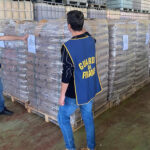 Pellet dalla Turchia irregolare, 23 tonnellate sequestrate dalla GdF a Tezze sul Brenta pellet dalla turchia guardia di finanza tezze sul brenta