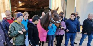 Pet Therapy, club Rotary vicentini insieme per “Immagina un nuovo amico” pet therapy montecchio maggiore