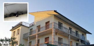 Sandrigo, balestrucci dell’ex albergo Vittoria salvi: Lav Bassano del Grappa esulta sandrigo balestrucci lav ex albergo vittoria