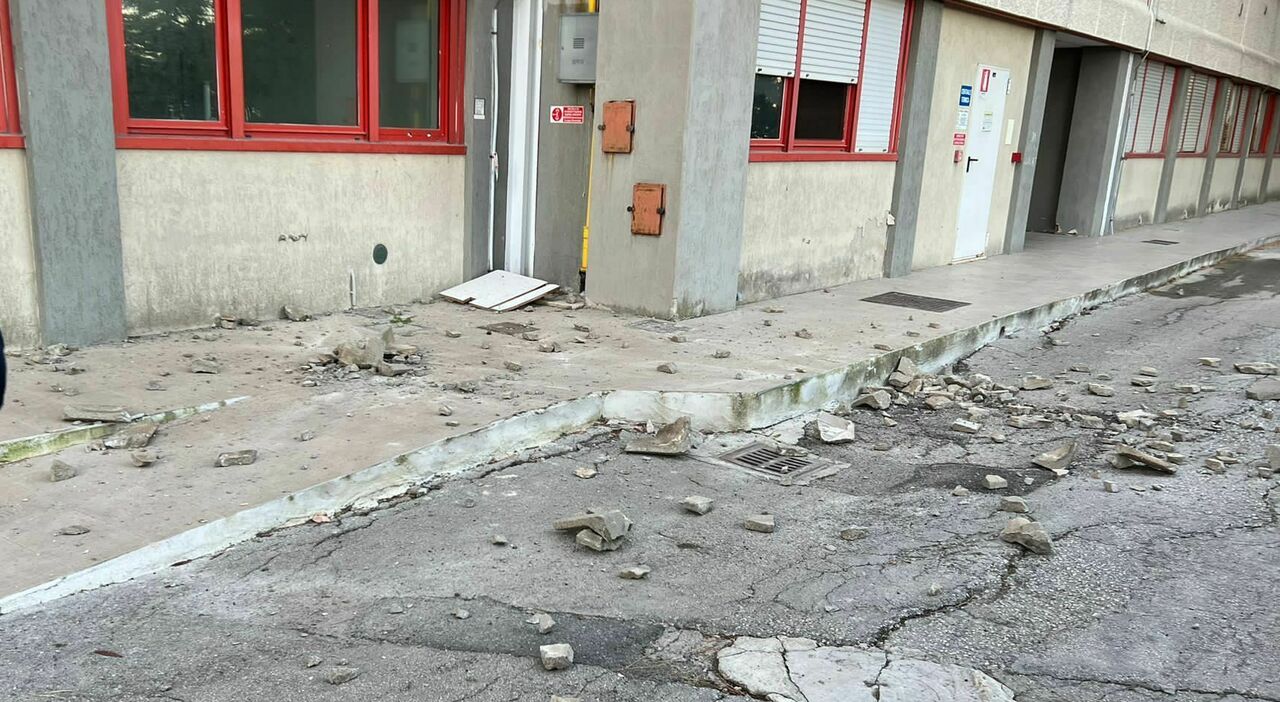 terremoto marche