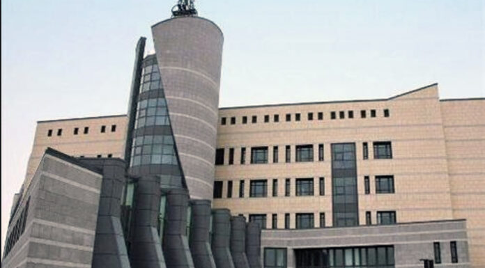 Tribunale di Vicenza in emergenza: arretrati, carenze di organico e rischio collasso. Colombara e Poncato: «Così la sicurezza è una parola vuota» tribunale di vicenza entra luigi perina Impiegati atti aggressione infermiera omicidio fioretto processo pfas volontario cure alternative