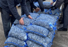 Chioggia, sequestrati 3 quintali di vongole: 8mila euro di multa a 4 pescherecci