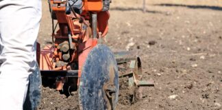 Agricoltura nel Vicentino, l’ente bilaterale Ebavi in campo contro il caporalato caporalato