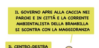 Pedibus calcantibus e la caccia ai voti, il messaggio di Claudio Mellana al governo attento a cacciatori e calciatori Alla caccia dei voti, by Almor e Mellana
