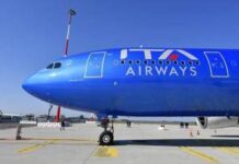 Cani in aereo, in cabina anche gli animali domestici di grossa taglia: il servizio Ita, come funziona