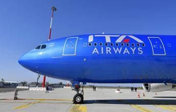 Cani in aereo, in cabina anche gli animali domestici di grossa taglia: il servizio Ita, come funziona