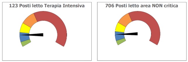 Fig. 2 - Occupazione posti letto