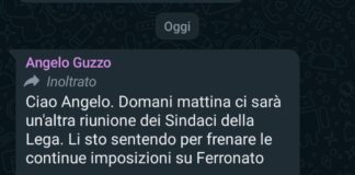 L’accordo del cdx per il presidente della provincia di Vicenza traballa per dei whatsapp tra Pretto, Guzzo e destinatari errati? Presidente della Provincia di Vicenza, Pretto e Guzzo