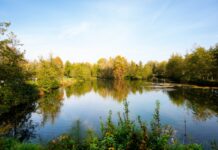 Acqua in rete Bacchiglione: sinergia tra AcegasApsAmga, Acquevenete e Viacqua per 136 comuni veneti parco dell'acqua in rete World Water Day viacqua