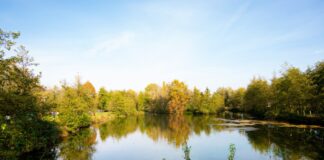 Acqua in rete Bacchiglione: sinergia tra AcegasApsAmga, Acquevenete e Viacqua per 136 comuni veneti  parco dell'acqua in rete World Water Day viacqua
