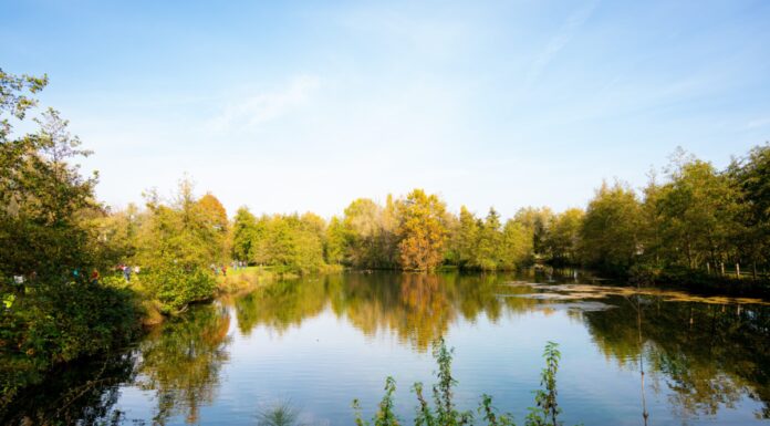 Pubblica amministrazione e gestione acqua: al via il corso di LIFE Svolta Blu alle Risorgive del Bacchiglione parco dell'acqua in rete World Water Day viacqua life svolta blu