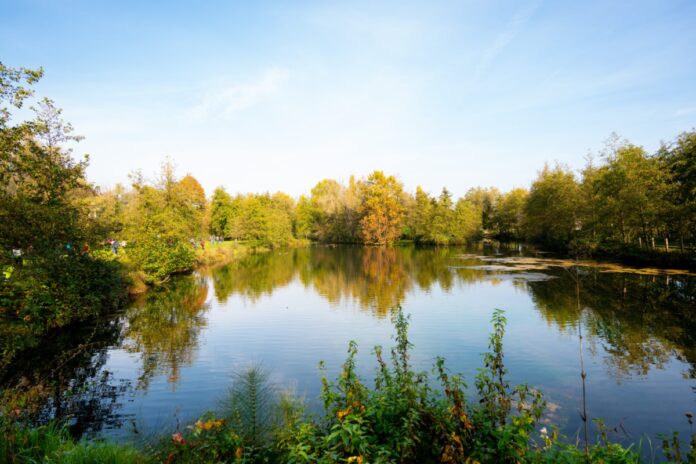 parco dell'acqua in rete World Water Day