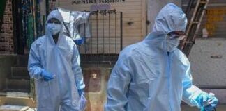 Virus Nipah in India, è allarme: come si trasmette e cura