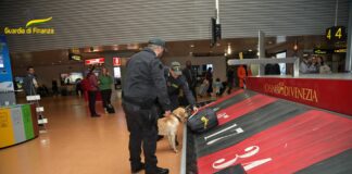 Capitali non dichiarati, al “Marco Polo” di Venezia in un anno intercettati 16 Mln di euro capitali non diciharati