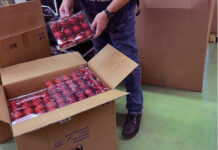 Decorazioni natalizie irregolari, sequestro in Provincia di Vicenza della Guardia di Finanza decorazioni natalizie sequestro vicenza