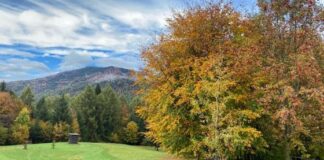 Giornata internazionale della Montagna, il Comune di Vicenza promuove tre incontri sulle terre alte giornata montagna
