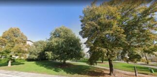 A Maddalene al parco di via Cereda di Vicenza sarà realizzata un’area fitness all’aperto area fitness