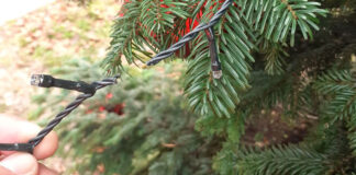 Montecchio Maggiore, vandalizzato il nuovo albero di Natale in piazza Marconi montecchio maggiore albero natale vandalizzato