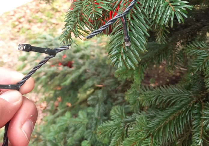 montecchio maggiore albero natale vandalizzato