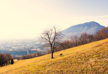 Tra le colline di Caltrano, escursione con Pedemontana Veneta e Colli caltrano