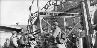 27 gennaio, il giorno della memoria. Un racconto del n. 549172 colpevole di essere ancora vivo: “Io non perdono” Giorno della memoria, il male