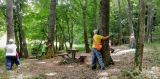 Shinrin Yoku, Meritocrazia Italia: “Pratica giapponese aiuta la salute” Shinrin Yoku