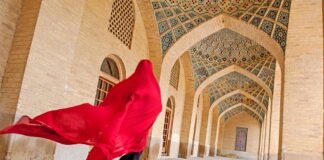 Meritocrazia Italia è con il popolo iraniano, contro la violenza, per la libertà iran