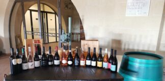 Enotour Colli della Murgia, Minutolo pugliese al “Wine Specialists Journal” Enotour Colli della Murgia