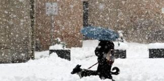 Gelo polare e neve a bassa quota, ecco i giorni più freddi dell’anno