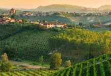Nebbiolo e Champagne, ripresa in grande stile del “Wine Specialists Journal” Langhe del Nebbiolo alla Wine Specialists Council