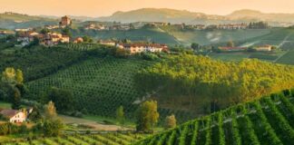 Nebbiolo e Champagne, ripresa in grande stile del “Wine Specialists Journal” Langhe del Nebbiolo alla Wine Specialists Council