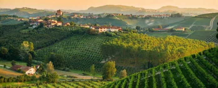 Langhe del Nebbiolo alla Wine Specialists Council