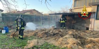 Rosà, in fiamme balle di paglia: rogo spento dai vigili del fuoco prima che interessasse un capannone Rosà incendio balle paglia