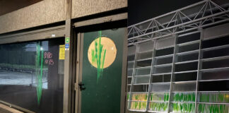 Bambù dipinti sulle vetrine dei negozi abbandonati: Freak of Nature colpisce a Schio bambù freak of nature schio street art