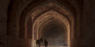 Iran: storia di una civiltà