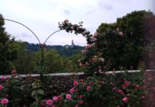 Cura del verde, Confartigianato: “In provincia di Vicenza numeri del settore in forte espansione” giardino valmarana cura verde vicenza