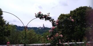 Cura del verde, Confartigianato: “In provincia di Vicenza numeri del settore in forte espansione” giardino valmarana cura verde vicenza