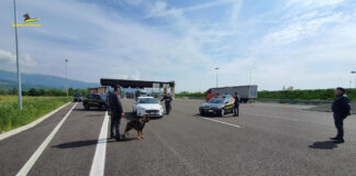 Festività natalizie nel Vicentino, controlli della Guardia di Finanza: report tra sequestri di prodotti e droga guardia di finanza vicenza controlli festevità natalizie nel vicentino 2022