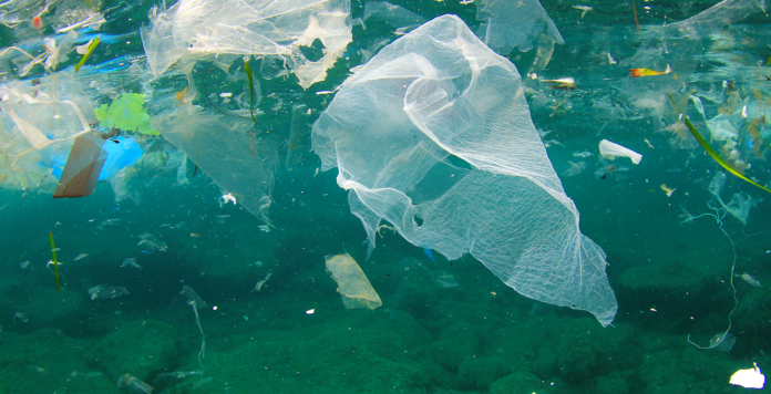 marless plastiche in mare italia croazia