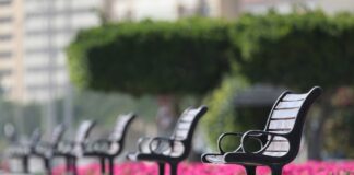 In Veneto quasi 300 mila ultra75enni vivono in solitudine, Spi Cgil: “Rischio isolamento in estate, urgente investire su invecchiamento attivo” Solitudine