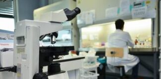 Artrite reumatoide, due studi per bloccare subito la malattia