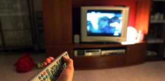 Ascolti tv, testa a testa David di Donatello e ‘Viola come il mare’